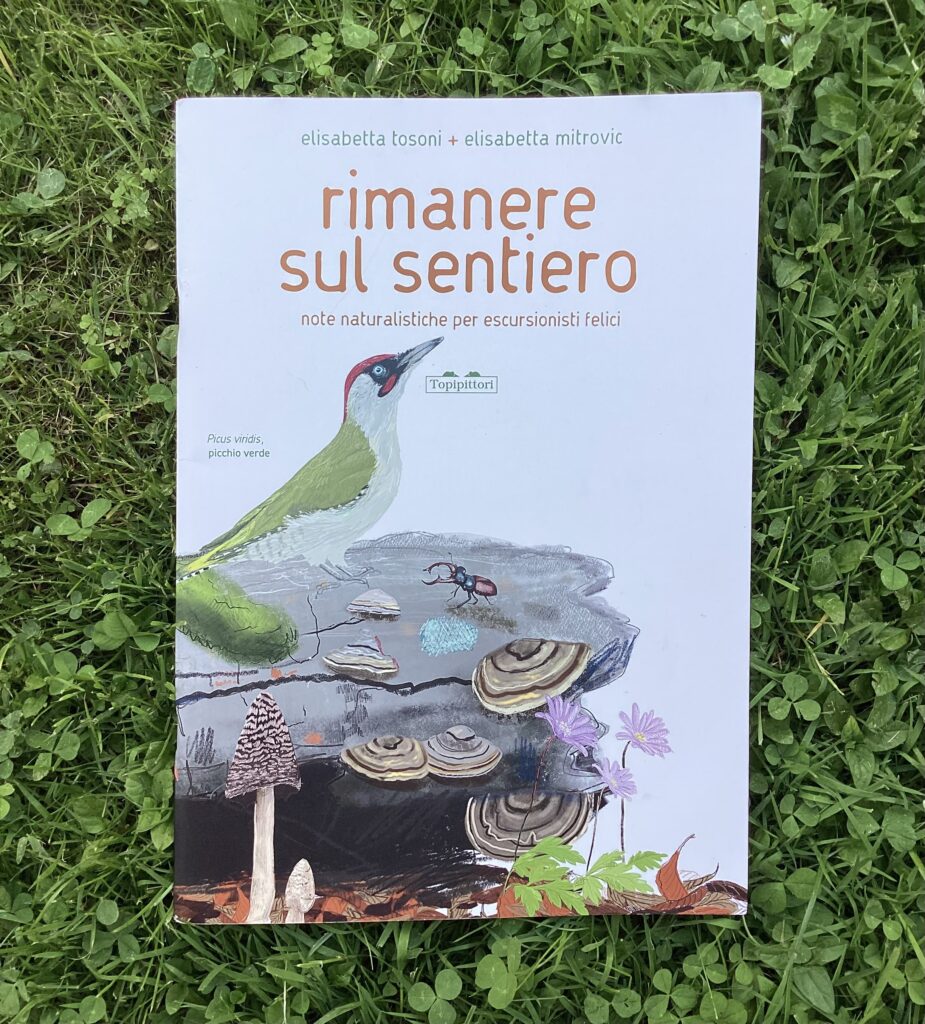 Rimanere sul sentiero della Topipittori